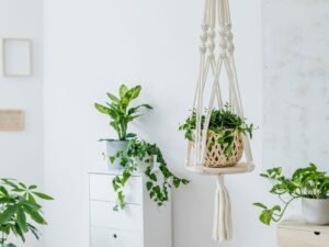 pendure plantas em um cabide de macramê e em um armário